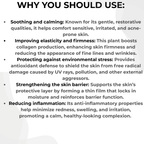 DaviEssentials Face Serum