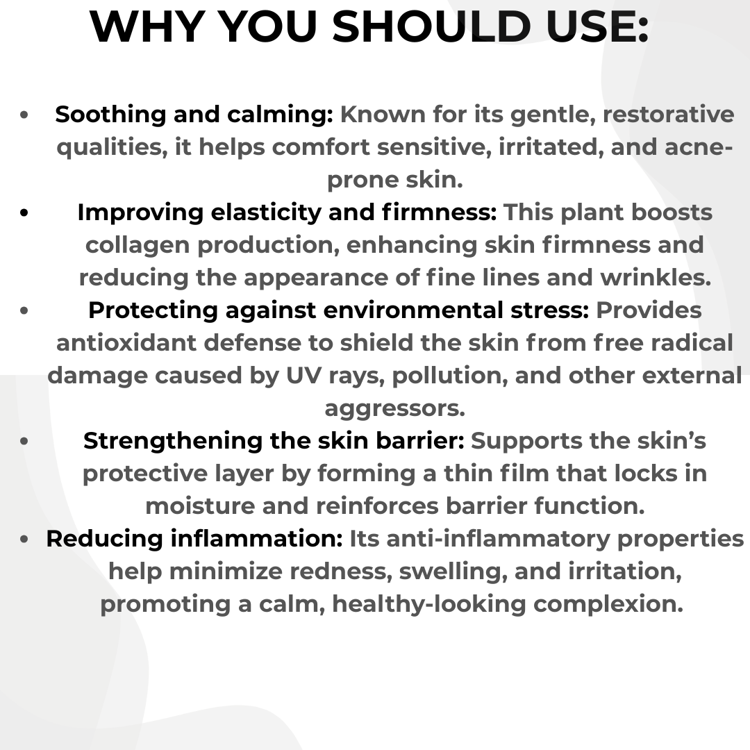 DaviEssentials Face Serum